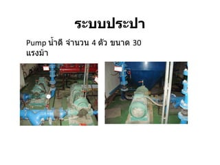 ระบบประปา Pump   น้ำดี จำนวน  4  ตัว ขนาด  30  แรงม้า 