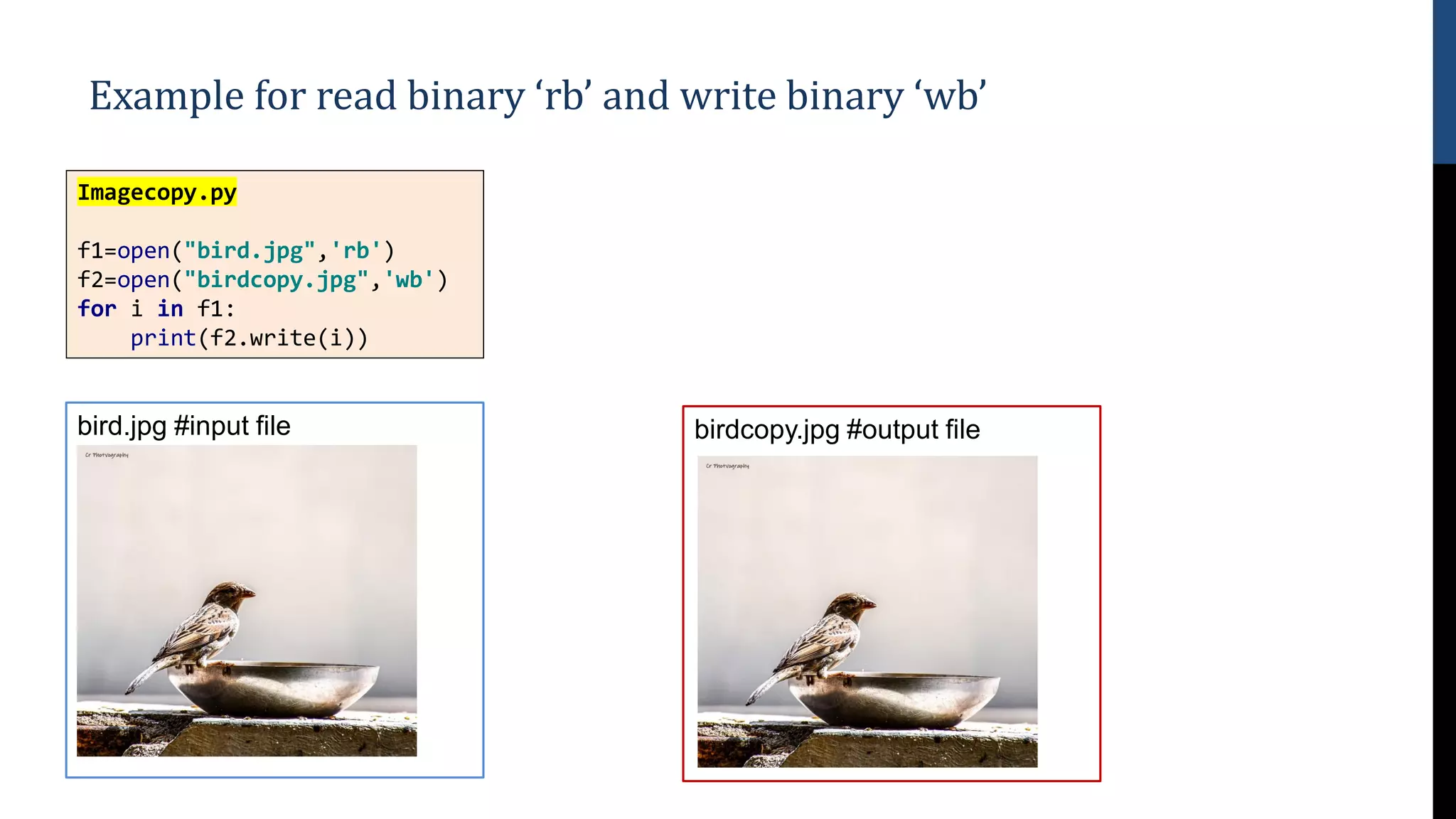 File handling in Python | PPT