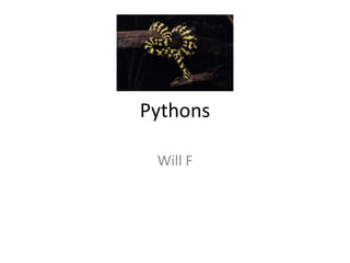 Pythons Will F 