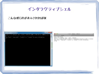インタラクティブシェル
こんな感じのが表示されればOK
 