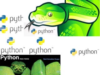 Python 
 