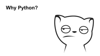Why Python? 
 