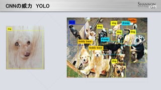 䱷 YOLO
 
