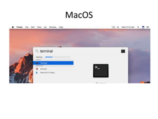 MacOS
 