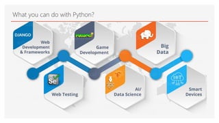 What you can do with Python?
 