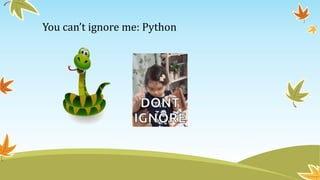 You can’t ignore me: Python
 