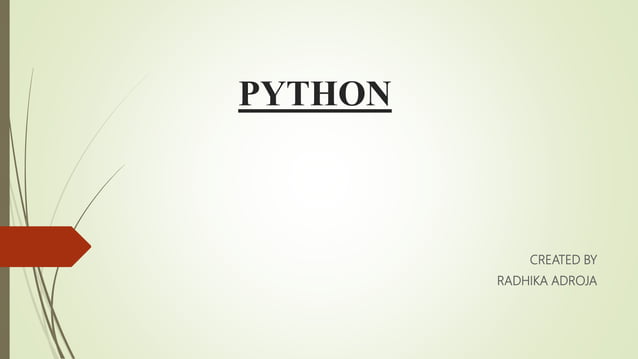 Python basic | PPT