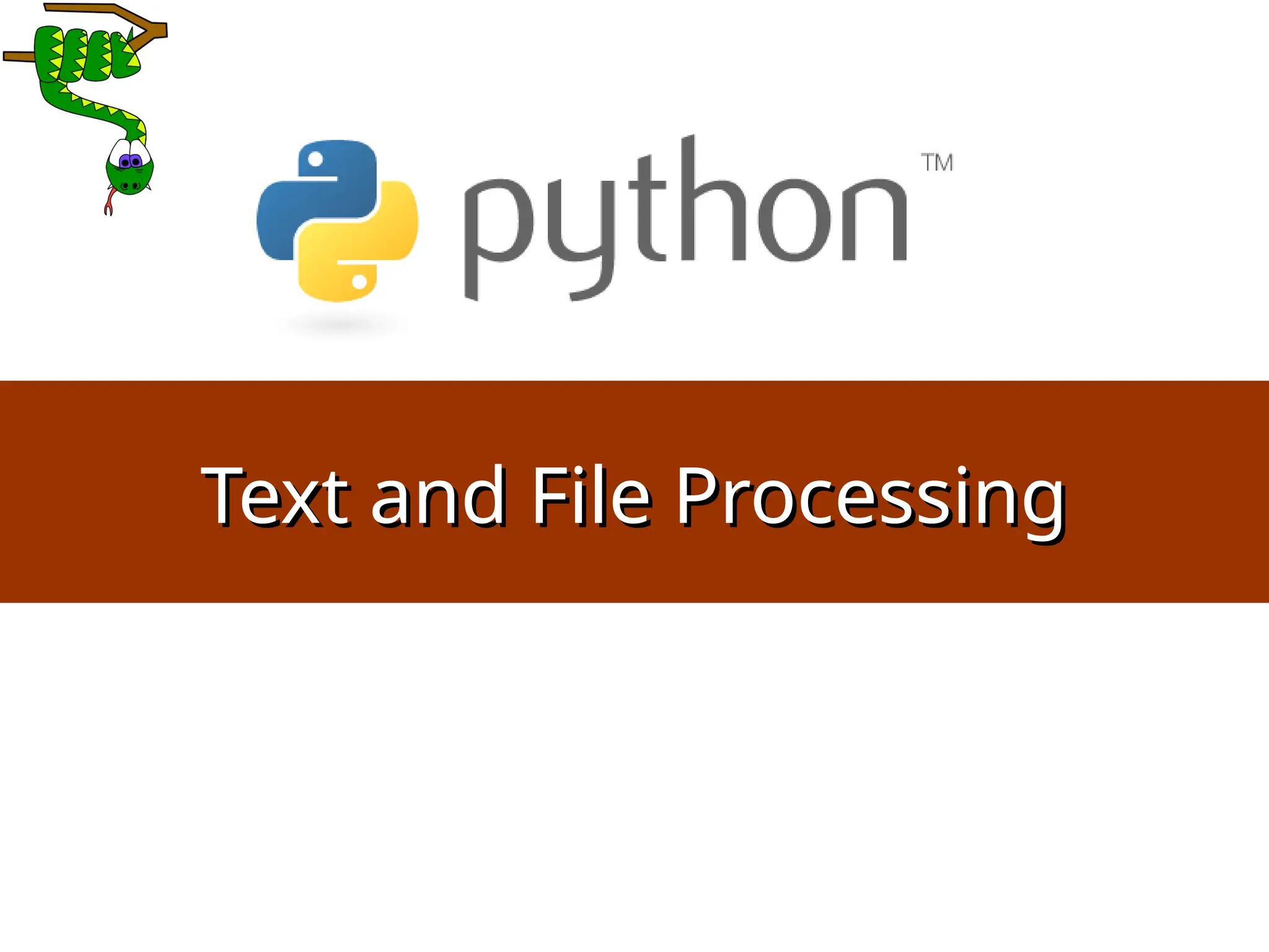 20 Text and File Processing Text and File Processing 