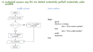 Comprehensive Introduction to Programming Concepts and Flowcharts | PPTX
