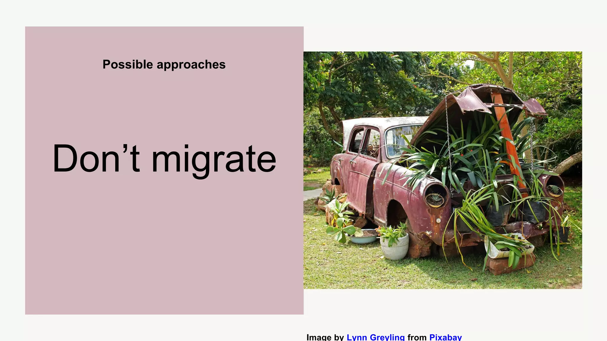 Possible approaches
Don’t migrate
Image by Lynn Greyling from Pixabay
 
