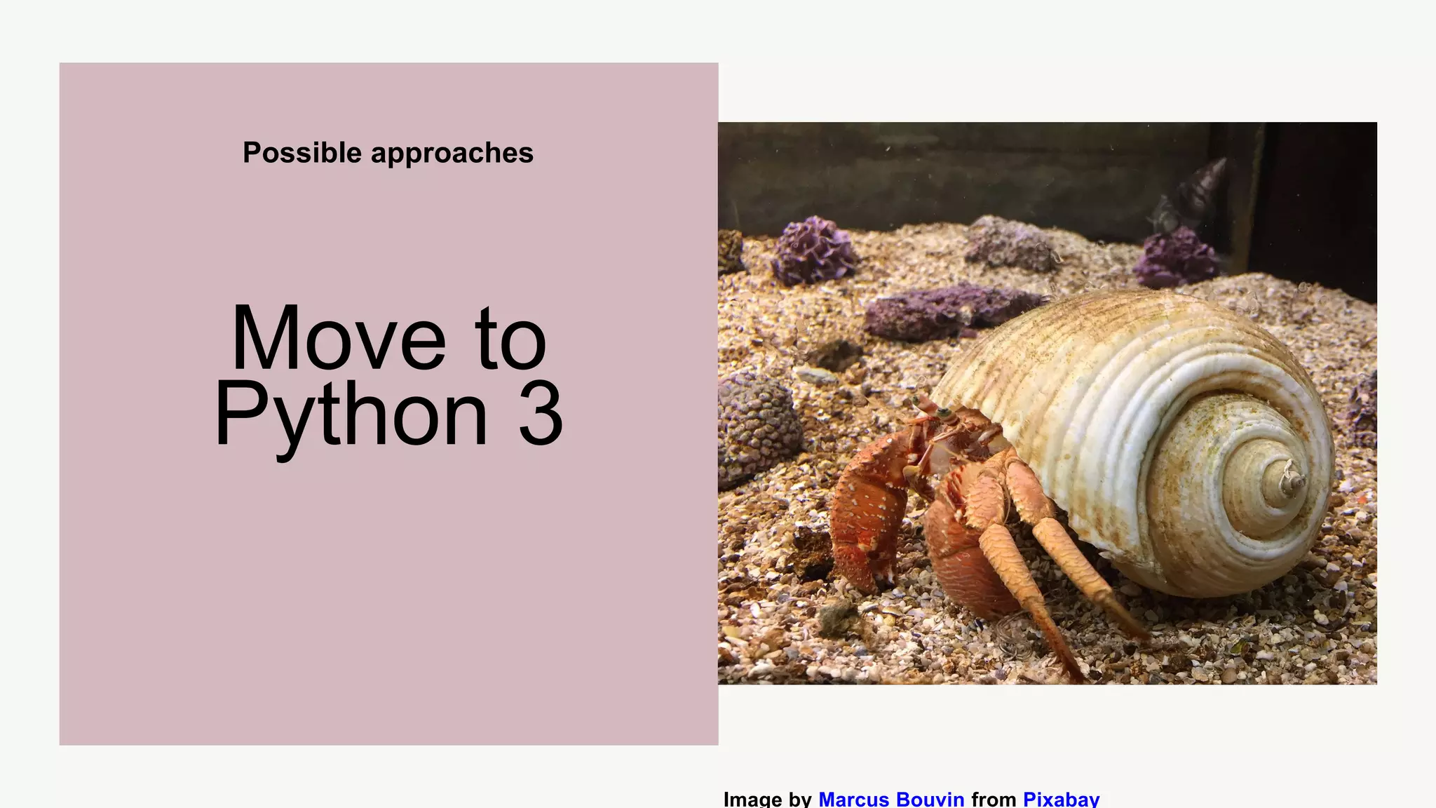 Possible approaches
Move to
Python 3
Image by Marcus Bouvin from Pixabay
 