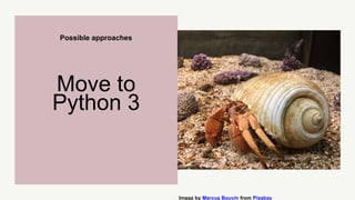 Possible approaches
Move to
Python 3
Image by Marcus Bouvin from Pixabay
 