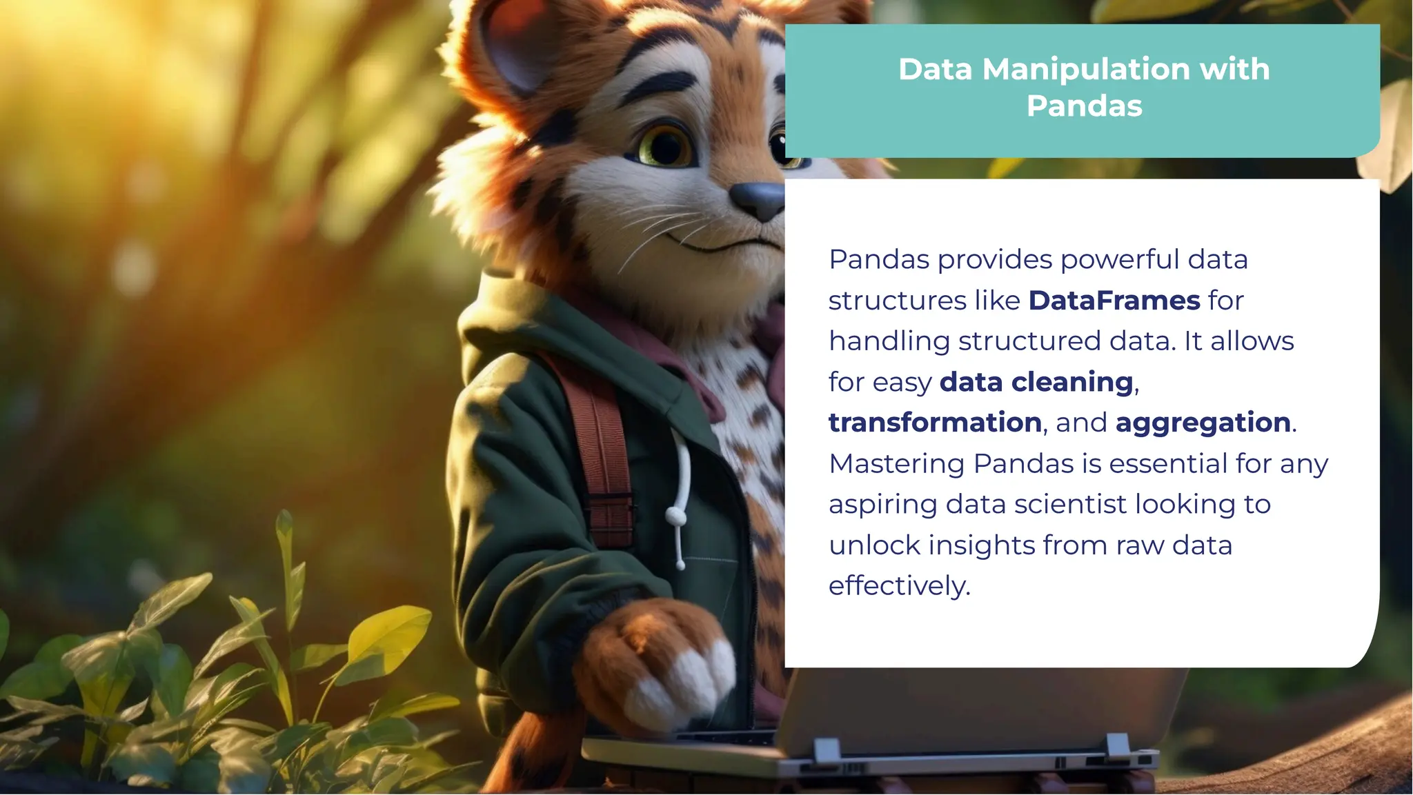 Data Manipulation with
Pandas
Data Manipulation with
Pandas
Pandas provides powerful data
structures like DataFrames for
handling structured data. It allows
for easy data cleaning,
transformation, and aggregation.
Mastering Pandas is essential for any
aspiring data scientist looking to
unlock insights from raw data
effectively.
Pandas provides powerful data
structures like DataFrames for
handling structured data. It allows
for easy data cleaning,
transformation, and aggregation.
Mastering Pandas is essential for any
aspiring data scientist looking to
unlock insights from raw data
effectively.
 