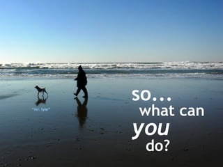 so...   what can  you     do? “ mr. lyle” 