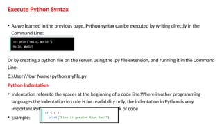 Comprehensive Introduction to Python Programming Language and Syntax | PPTX