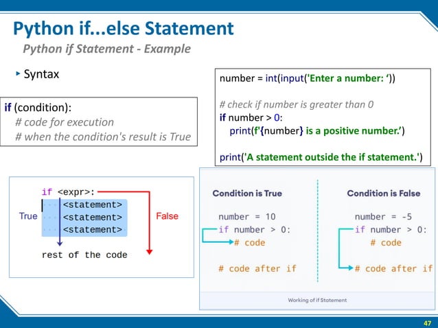 The python fundamental introduction part 1 | PPT