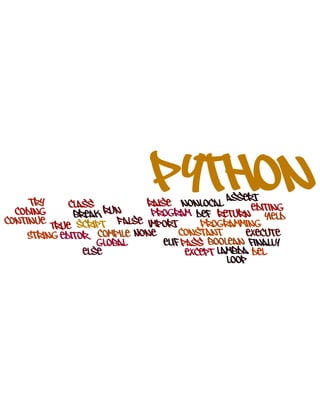 Python programming-expressed-in-word-clouds | PDF