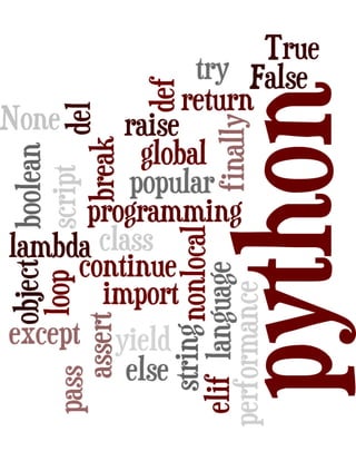Python programming-expressed-in-word-clouds | PDF