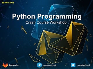 Python workshop | PPT
