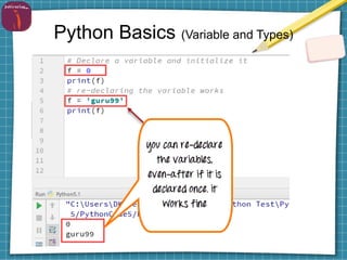 Python Basics (Variable and Types)
 