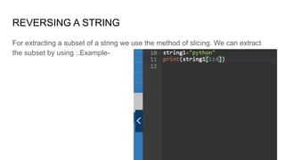 python (1).pdf
