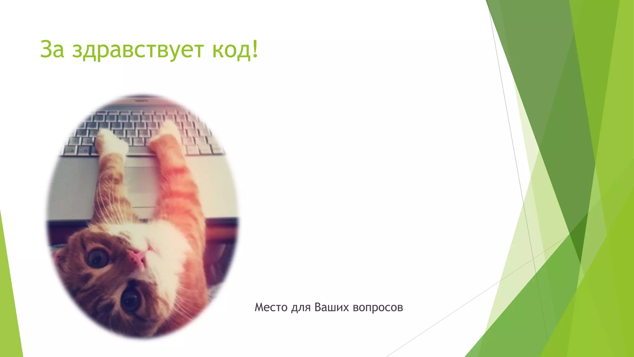 За здравствует код!
Место для Ваших вопросов
 