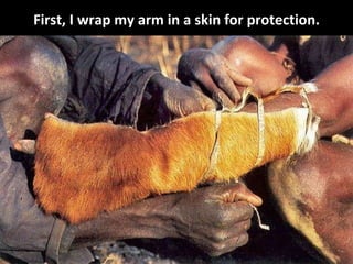 First, I wrap my arm in a skin for protection. 