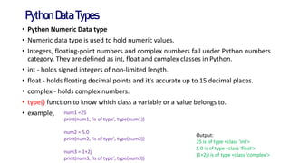 python ppt database and its some basic information | PDF