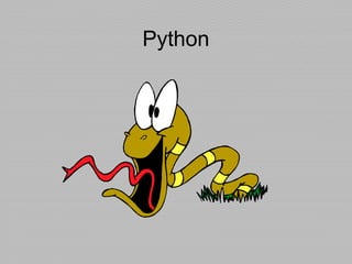 Python
 