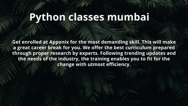 Python course mumbai PPT