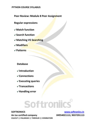 Python course updated syllabus | PDF