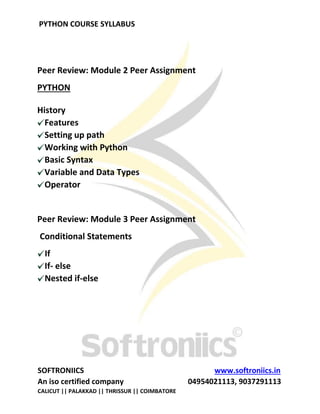 Python course updated syllabus | PDF