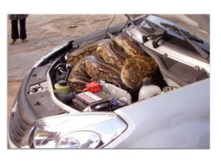 Friday, 8 November 13

 