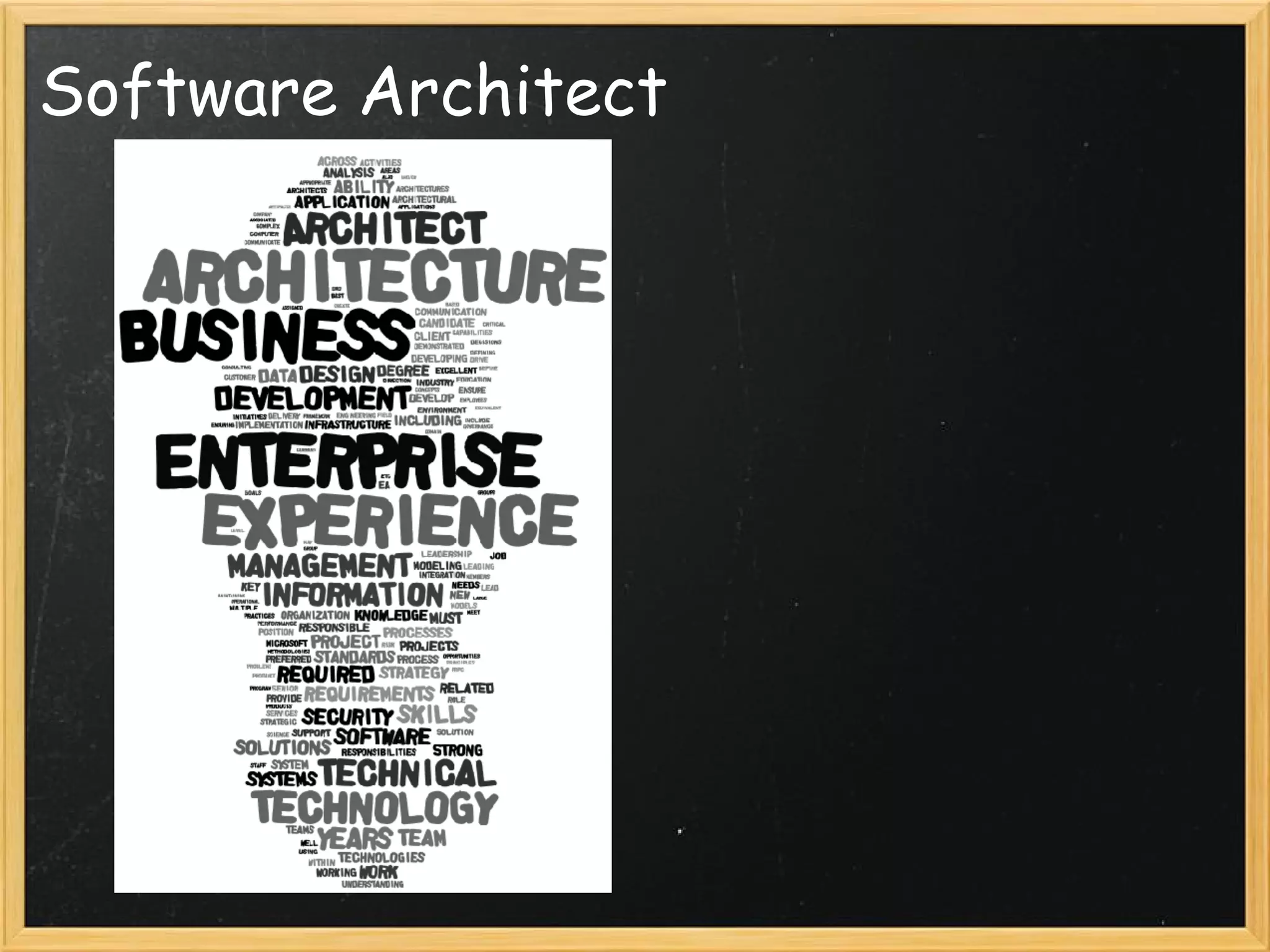 Software Architect
 
