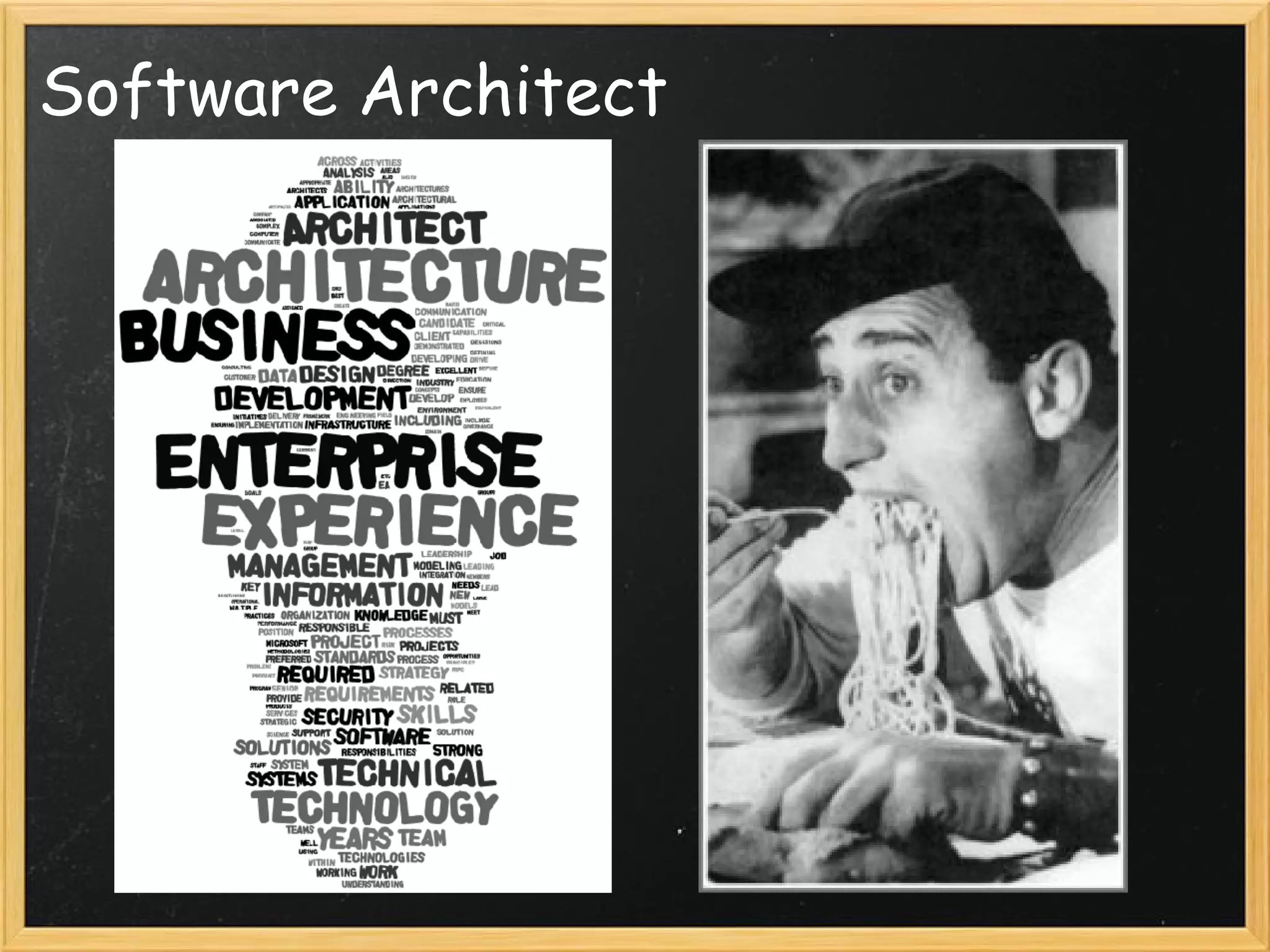 Software Architect
 
