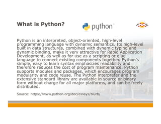 Beyond 49x Transformers: Don't be afraid of (the) Python! | PPT