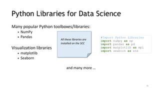 Python for data analysis (ITP and NPV) | PDF
