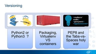 Versioning
Python2 or
Python3 ?
Packaging,
Virtualenv
VS
containers
PEP8 and
the Tabs-vs-
Spaces holy
war
 