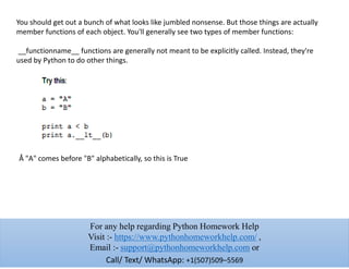 Python Homework Help | PPTX