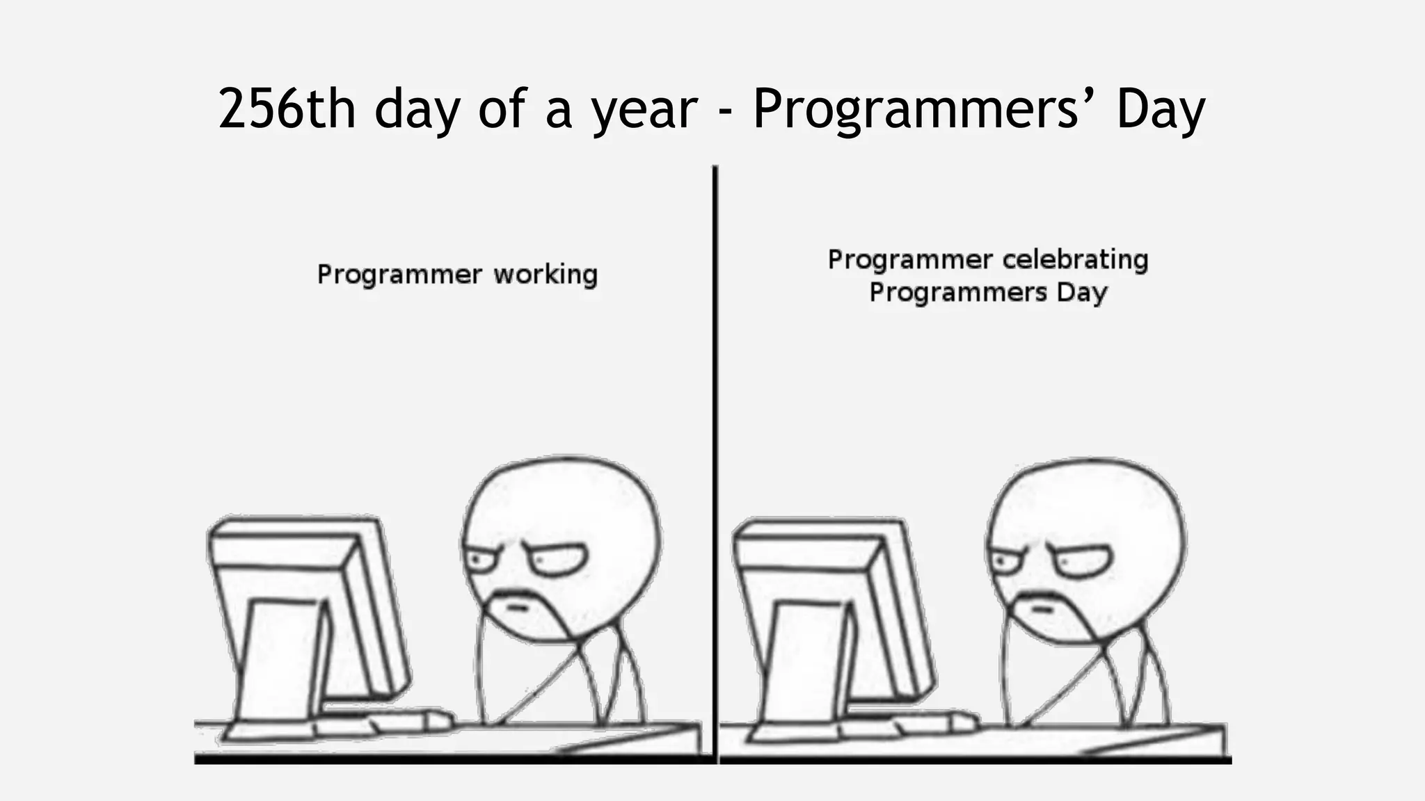 256th day of a year - Programmers’ Day
 