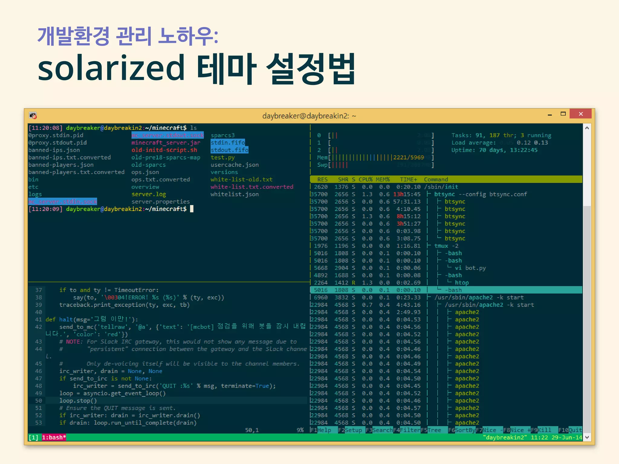개발환경 관리 노하우:
solarized 테마 설정법
▪ 적용한 결과
 