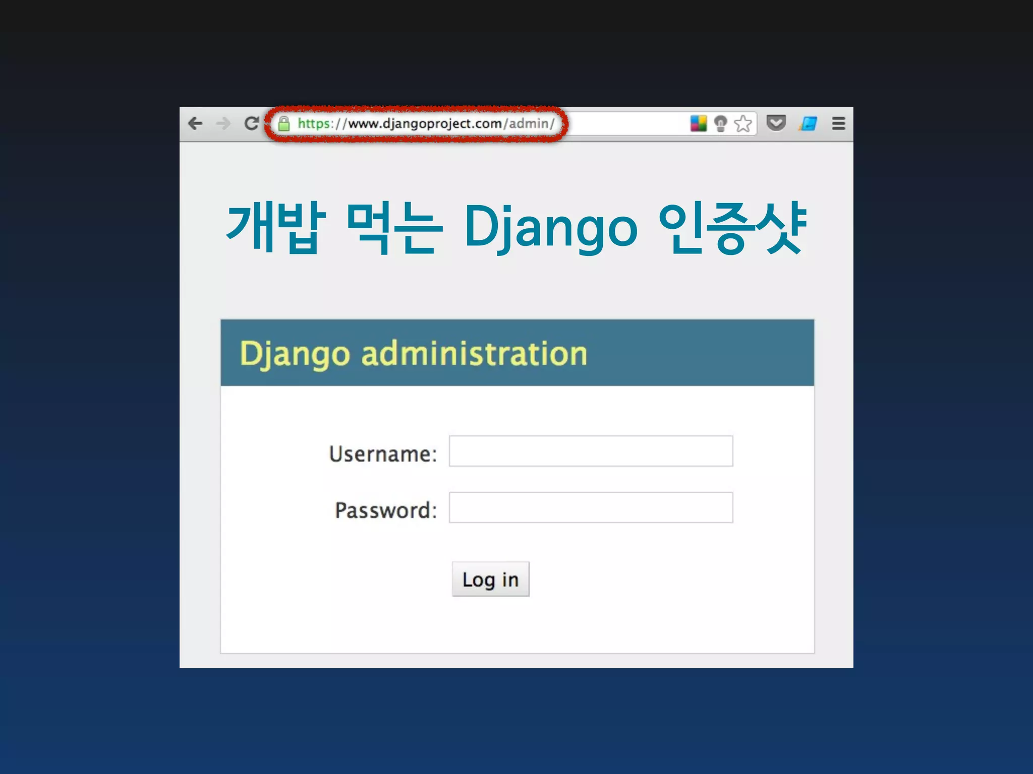 개밥 먹는 Django 인증샷 