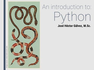 An introduction to:
PythonJosé Héctor Gálvez, M.Sc.
Imagesource:www.katie-scott.com
 