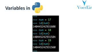 Python Memory Management | PPT
