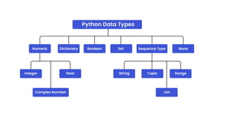 Comprehensive Introduction to Python Programming Basics and Data Types ...