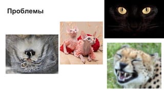 Проблемы
 