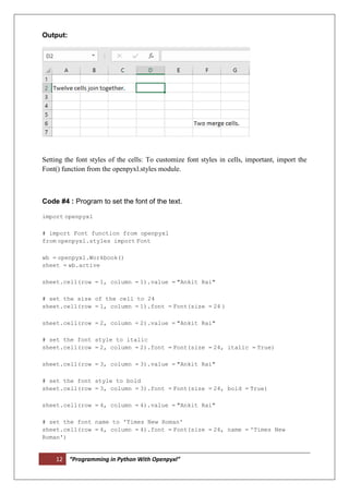 Python openpyxl | PDF