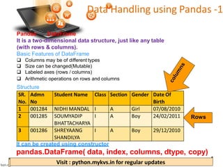 Python Pandas Data Frame Operations Python Pandas.pdf