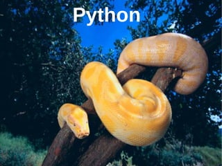 Python
 