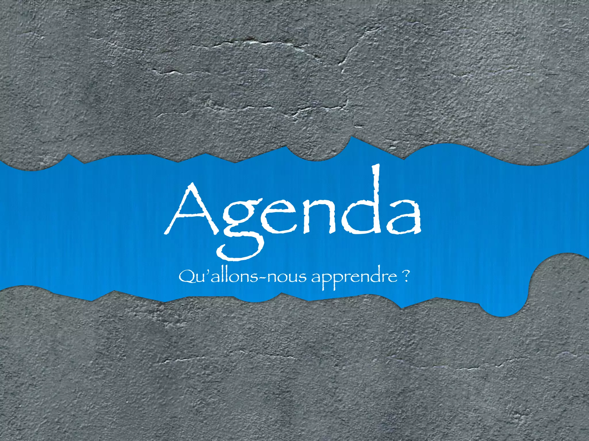 Agenda Qu’allons-nous apprendre ? 
 